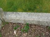 image number TNSJ563